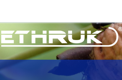 Captura de pantalla 2020-05-04 a la(s) 09.54.25