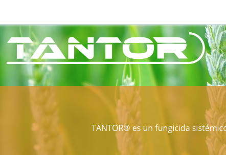 Captura de pantalla 2020-05-04 a la(s) 11.52.20